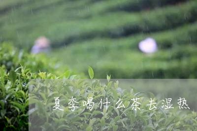 夏季喝什么茶去湿热/2023041596326