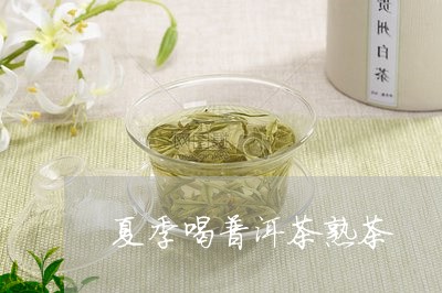 夏季喝普洱茶熟茶/2023041158724