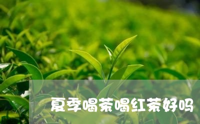 夏季喝茶喝红茶好吗/2023041648596