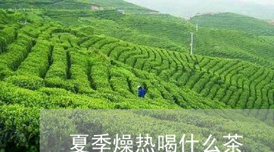 夏季燥热喝什么茶/2023032308351