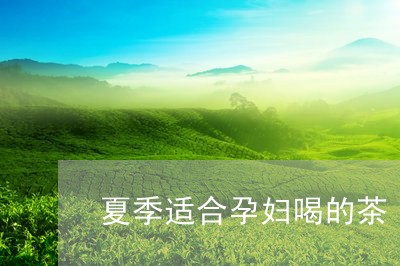 夏季适合孕妇喝的茶/2023031817560