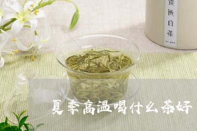 夏季高温喝什么茶好/2023041614937