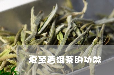 夏至普洱茶的功效/2023041027150