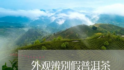 外观辨别假普洱茶/2023041098483