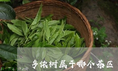 多依树属于哪个茶区/2023041623817