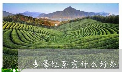 多喝红茶有什么好处/2023041578369