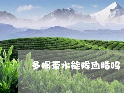 多喝茶水能降血脂吗/2023032057161