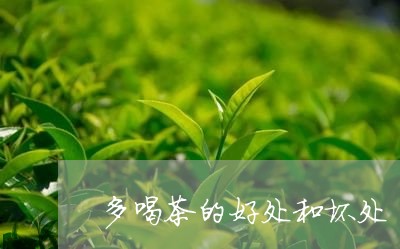 多喝茶的好处和坏处/2023032188360