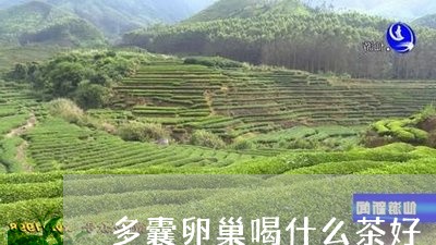 多囊卵巢喝什么茶好/2023032050493