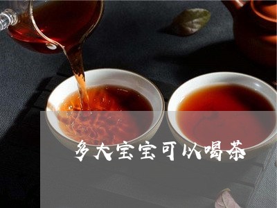 多大宝宝可以喝茶/2023032416157