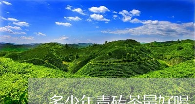 多少年青砖茶最好喝/2023041671713