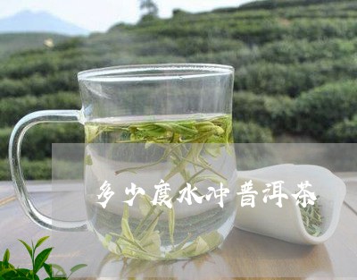 多少度水冲普洱茶/2023031646384