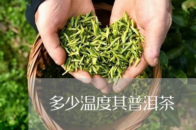 多少温度其普洱茶/2023041052158