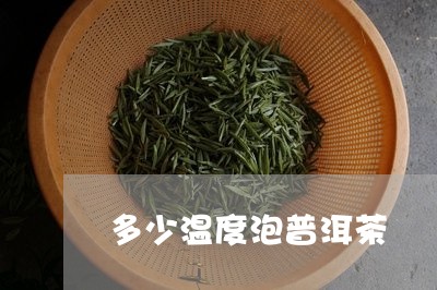 多少温度泡普洱茶/2023041226571