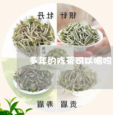 多年的陈茶可以喝吗/2023041629390