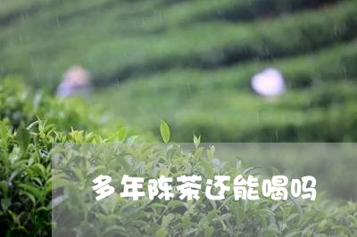 多年陈茶还能喝吗/2023032480361