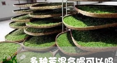 多种茶混合喝可以吗/2023041484947