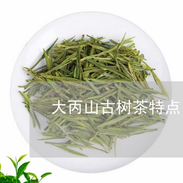 大丙山古树茶特点/2023031851804