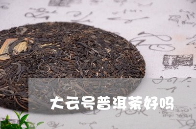 大云号普洱茶好吗/2023031680613