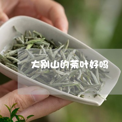 大别山的茶叶好吗/2023032681815