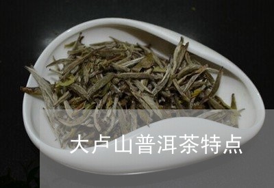 大卢山普洱茶特点/2023031672605