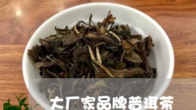 大厂家品牌普洱茶/2023041074938