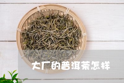 大厂的普洱茶怎样/2023031618259