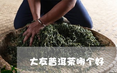 大友普洱茶哪个好/2023040115049