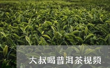 大叔喝普洱茶视频/2023040901614