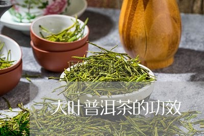 大叶普洱茶的功效/2023031796069