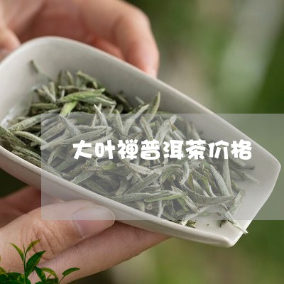 大叶禅普洱茶价格/2023041367138