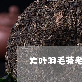 大叶羽毛茶老班章/2023032953706