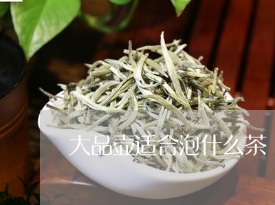 大品壶适合泡什么茶/2023031954058