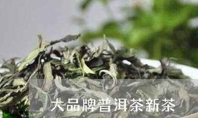 大品牌普洱茶新茶/2023041398491