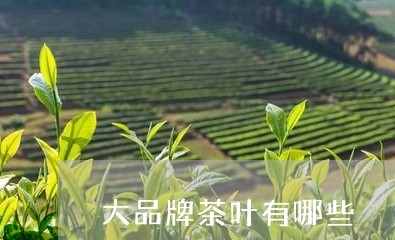 大品牌茶叶有哪些/2023032525383