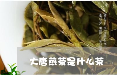 大唐煎茶是什么茶/2023032477380