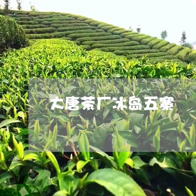 大唐茶厂冰岛五寨/2023032359505