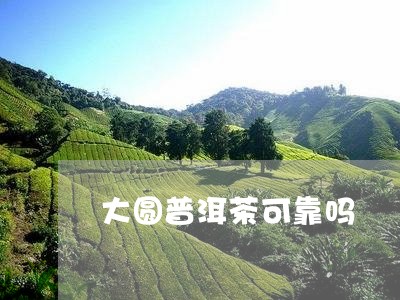 大圆普洱茶可靠吗/2023041237483