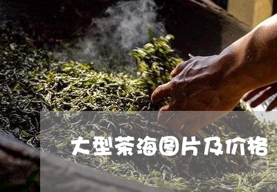 大型茶海图片及价格/2023032171503