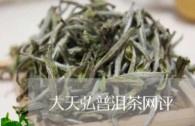 大天弘普洱茶网评/2023041185269