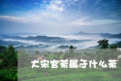 大宋官茶属于什么茶/2023041541637