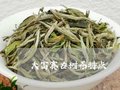 大富赛古树茶特点/2023032625069