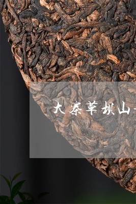 大寨草坝山普洱茶/2023031689493