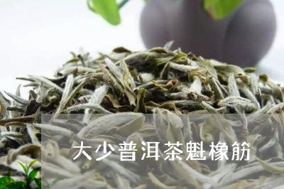 大少普洱茶魁橡筋/2023033116060