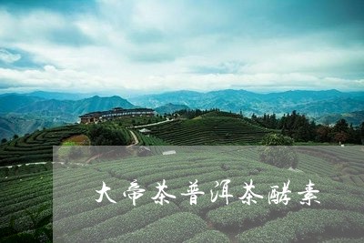 大帝茶普洱茶酵素/2023041085049