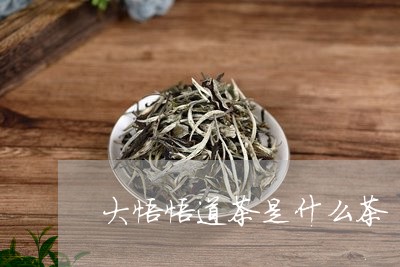 大悟悟道茶是什么茶/2023031974937