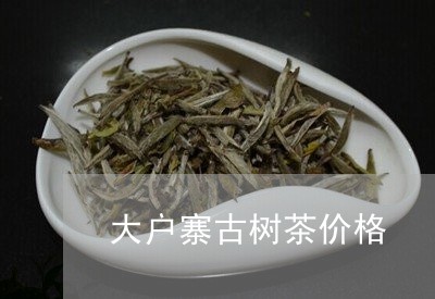 大户寨古树茶价格/2023032691713