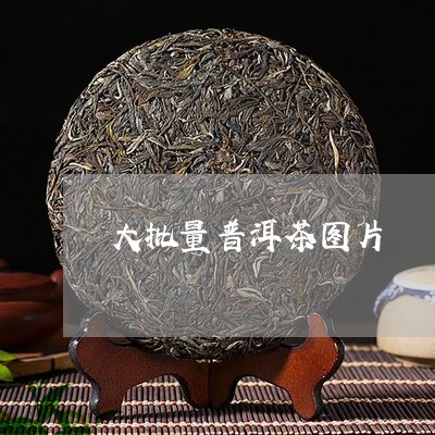 大批量普洱茶图片/2023040128571