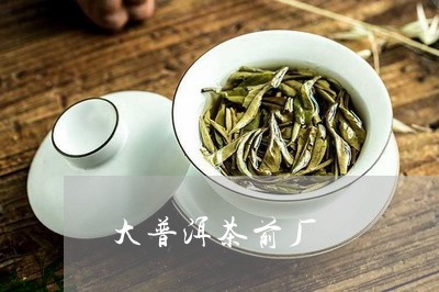 大普洱茶前厂/2023031615460