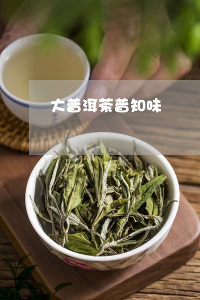 大普洱茶普知味/2023031793869